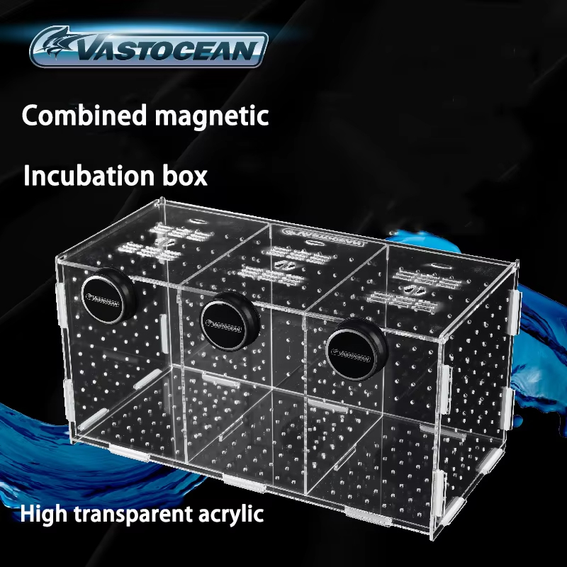 VASTOCEAN - Magnetyczna Akrylo – Seaweed Snack recenzja i cena
