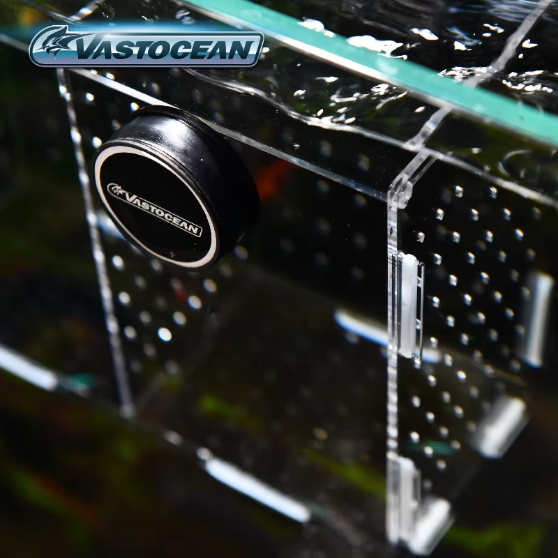 VASTOCEAN - Magnetyczna Akrylo – Seaweed Snack recenzja i cena